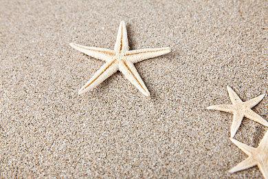 宝可梦游戏因定期发布策略面临质量问题挑战